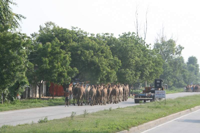 India & Nepal 2011 - 0857